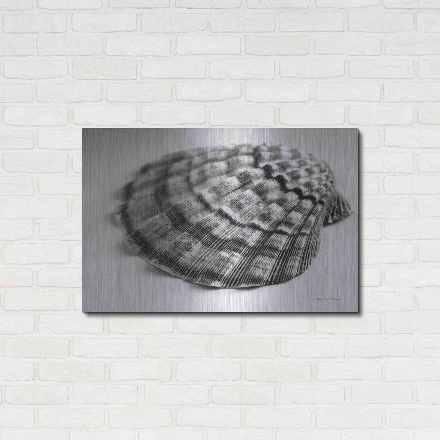 Luxe Metal Art 'Scallop 3' by Debra Van Swearingen, Metal Wall Art,36x24