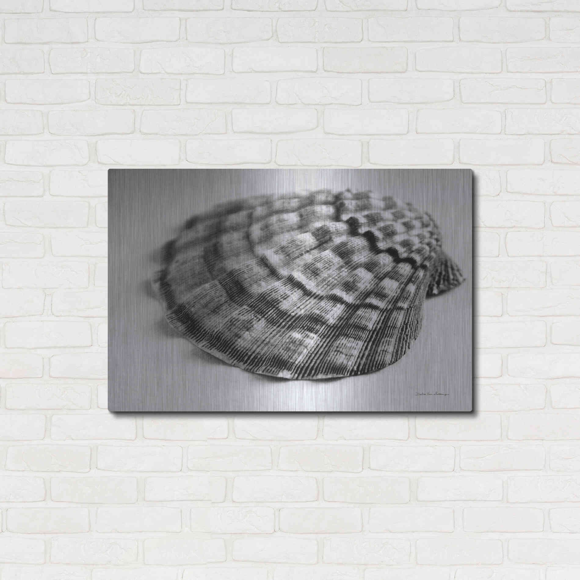 Luxe Metal Art 'Scallop 3' by Debra Van Swearingen, Metal Wall Art,36x24