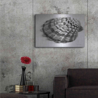 Luxe Metal Art 'Scallop 3' by Debra Van Swearingen, Metal Wall Art,36x24