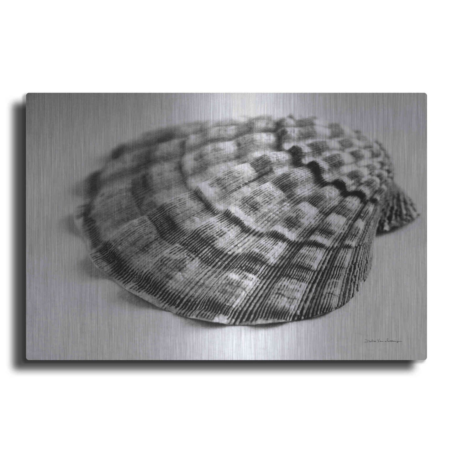 Luxe Metal Art 'Scallop 3' by Debra Van Swearingen, Metal Wall Art