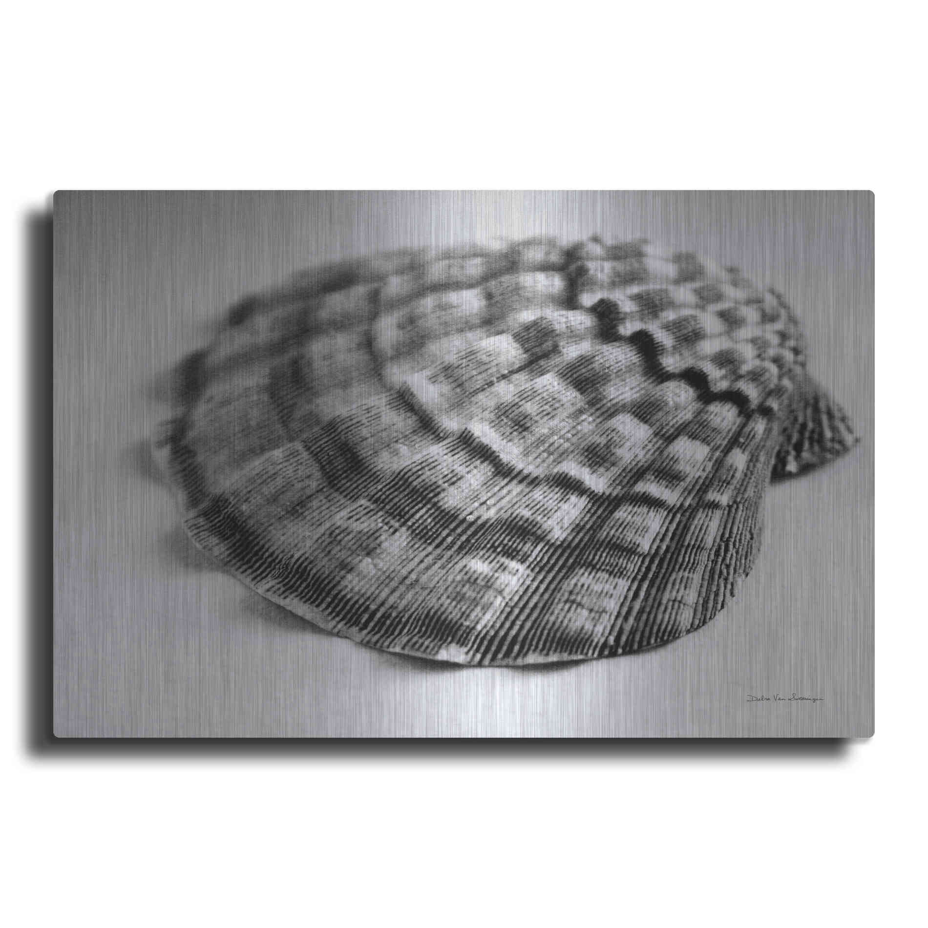 Luxe Metal Art 'Scallop 3' by Debra Van Swearingen, Metal Wall Art