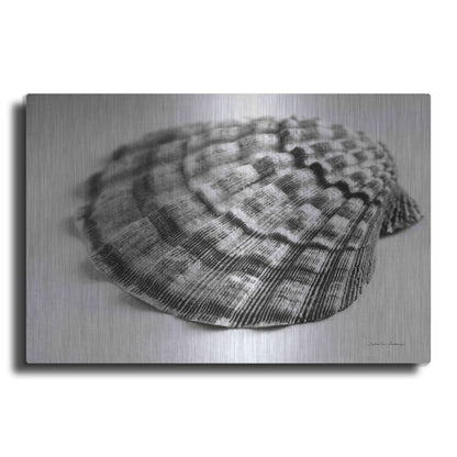 Luxe Metal Art 'Scallop 3' by Debra Van Swearingen, Metal Wall Art