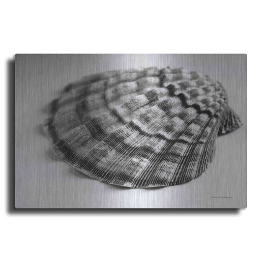 Luxe Metal Art 'Scallop 3' by Debra Van Swearingen, Metal Wall Art