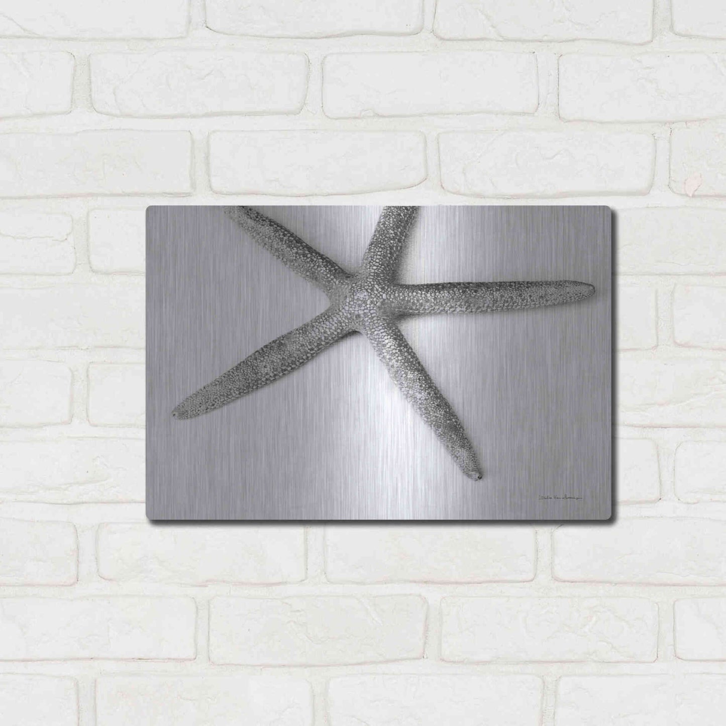 Luxe Metal Art 'Starfish Detail' by Debra Van Swearingen, Metal Wall Art,16x12