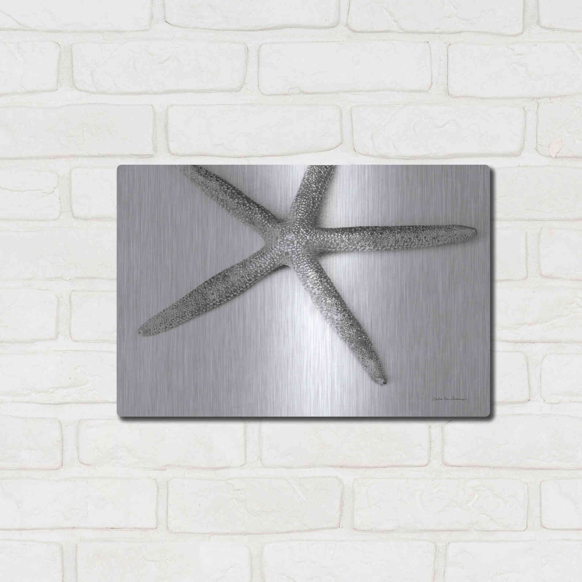 Luxe Metal Art 'Starfish Detail' by Debra Van Swearingen, Metal Wall Art,16x12