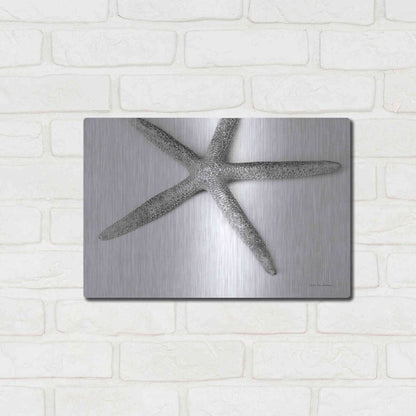 Luxe Metal Art 'Starfish Detail' by Debra Van Swearingen, Metal Wall Art,16x12