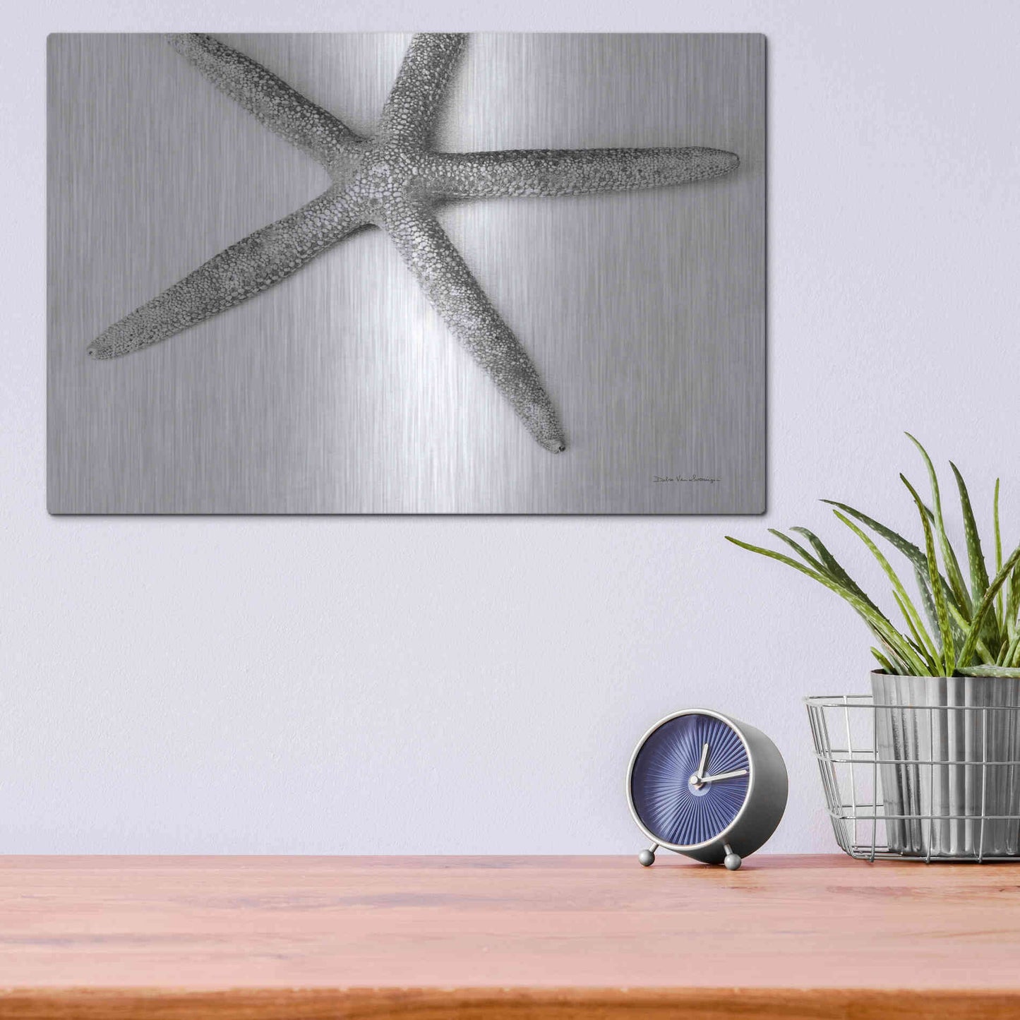 Luxe Metal Art 'Starfish Detail' by Debra Van Swearingen, Metal Wall Art,16x12