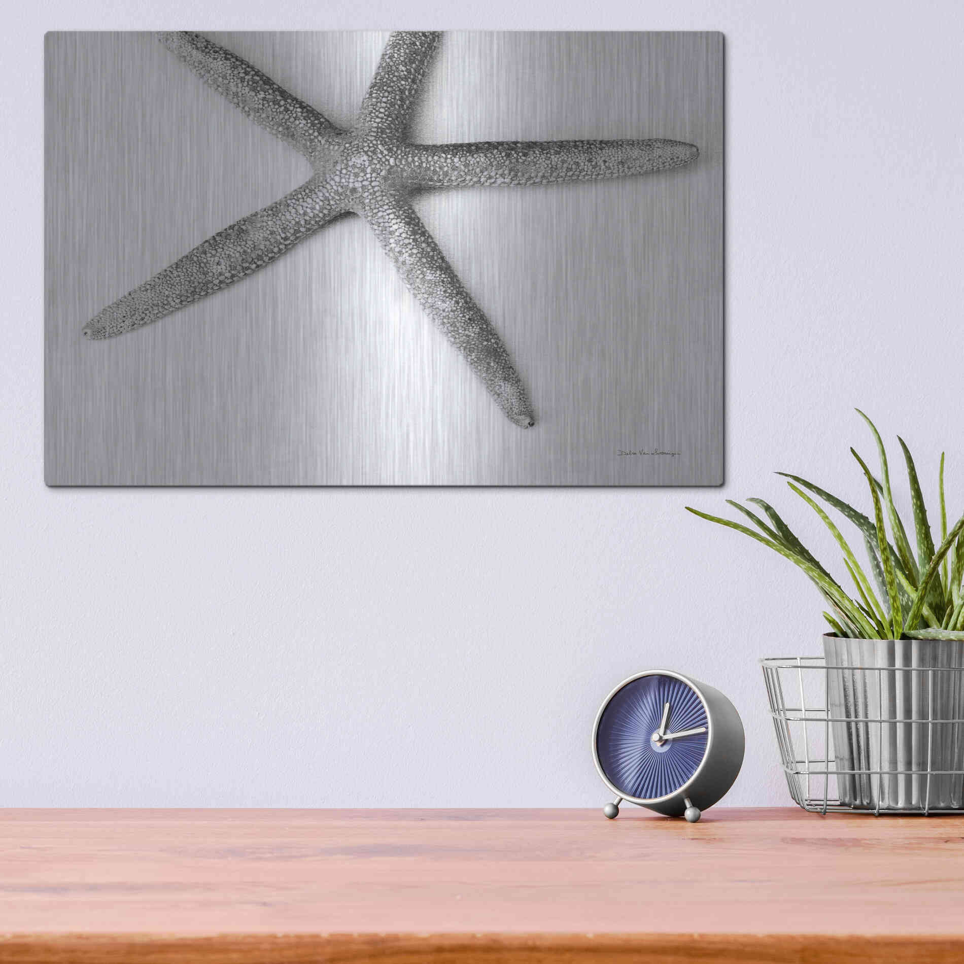 Luxe Metal Art 'Starfish Detail' by Debra Van Swearingen, Metal Wall Art,16x12