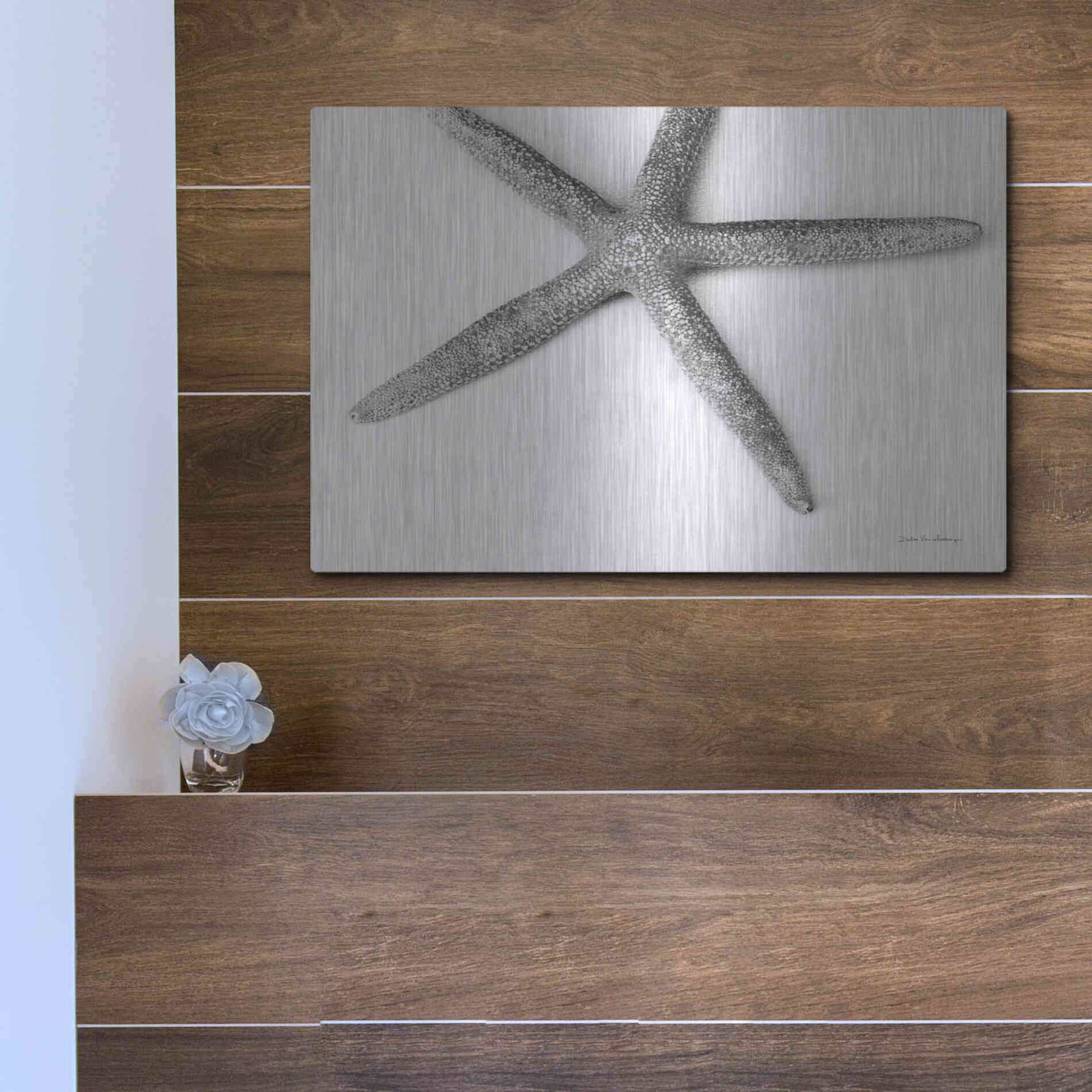 Luxe Metal Art 'Starfish Detail' by Debra Van Swearingen, Metal Wall Art,16x12