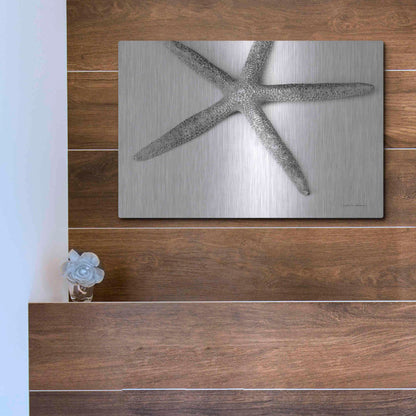 Luxe Metal Art 'Starfish Detail' by Debra Van Swearingen, Metal Wall Art,16x12