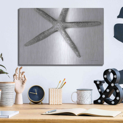 Luxe Metal Art 'Starfish Detail' by Debra Van Swearingen, Metal Wall Art,16x12