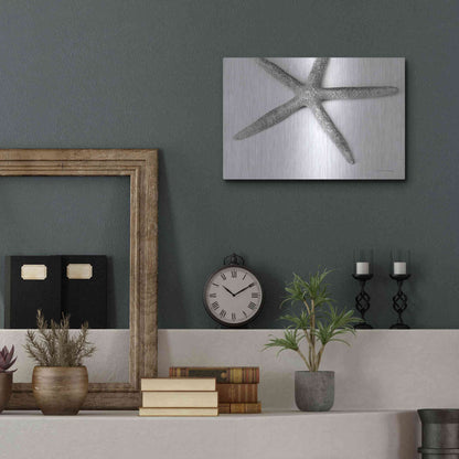 Luxe Metal Art 'Starfish Detail' by Debra Van Swearingen, Metal Wall Art,16x12