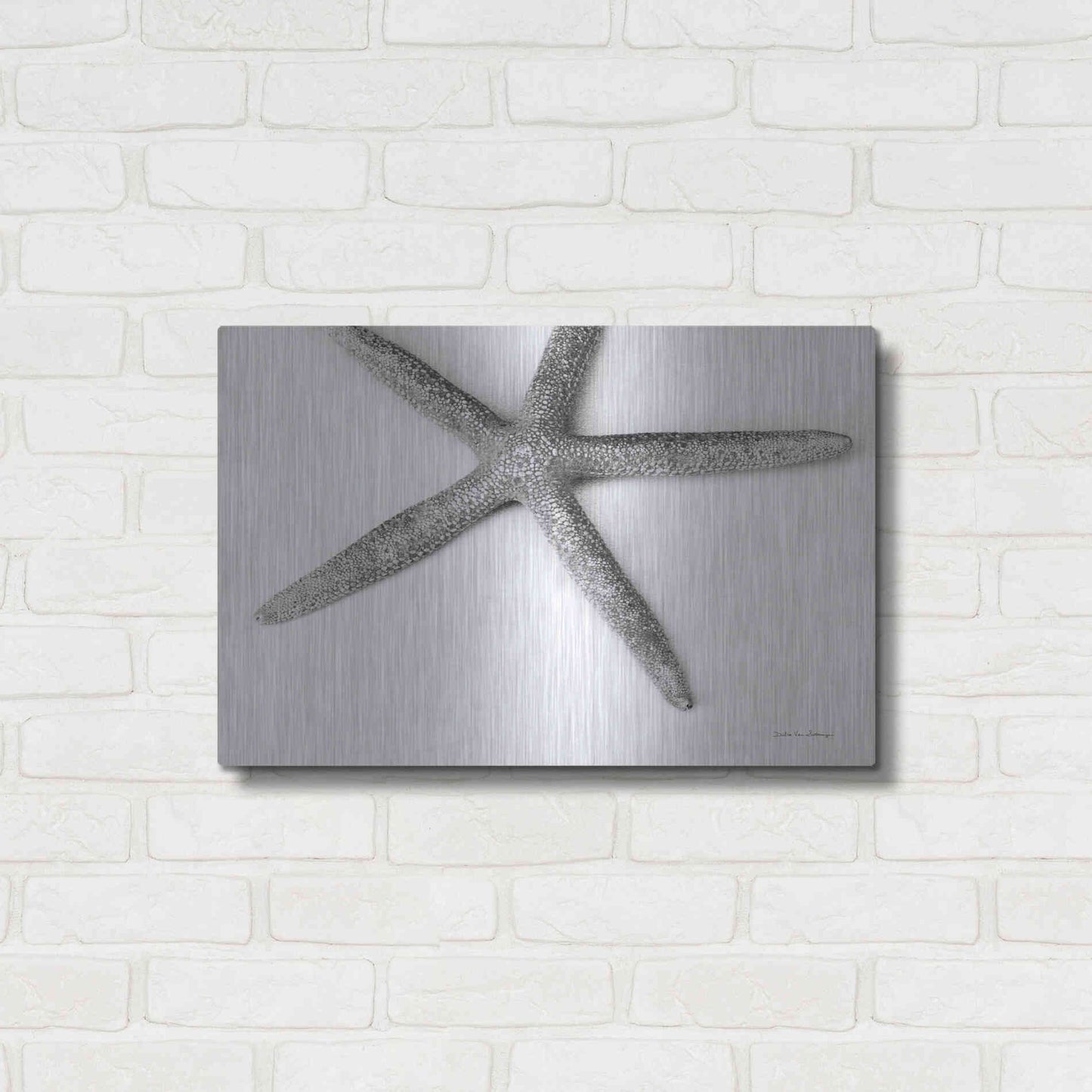 Luxe Metal Art 'Starfish Detail' by Debra Van Swearingen, Metal Wall Art,24x16