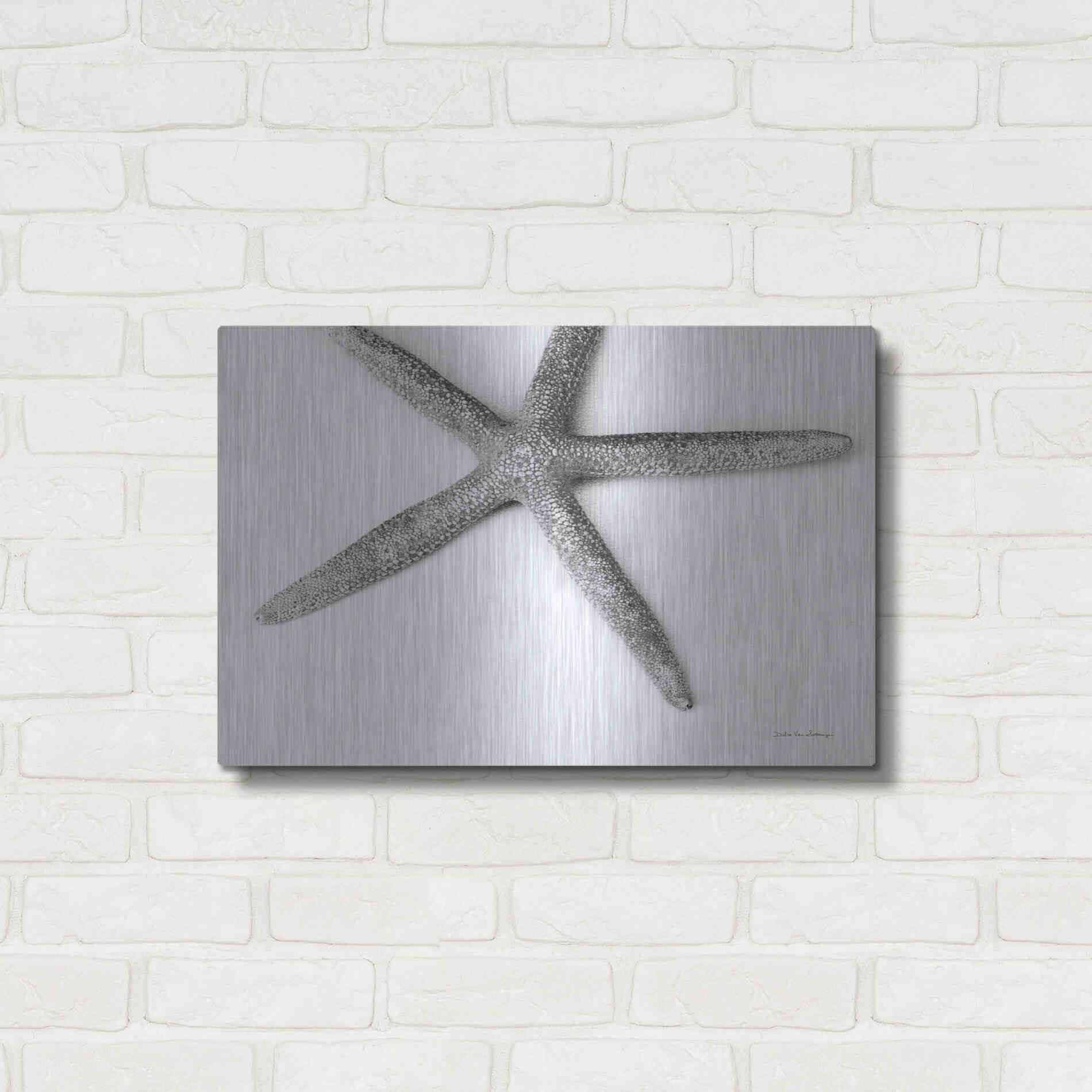 Luxe Metal Art 'Starfish Detail' by Debra Van Swearingen, Metal Wall Art,24x16