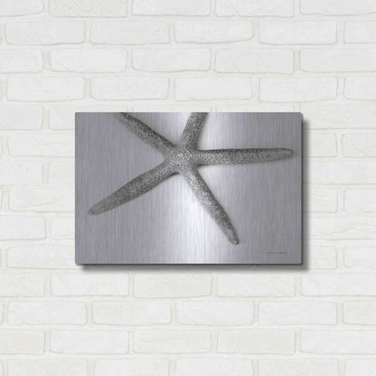 Luxe Metal Art 'Starfish Detail' by Debra Van Swearingen, Metal Wall Art,24x16