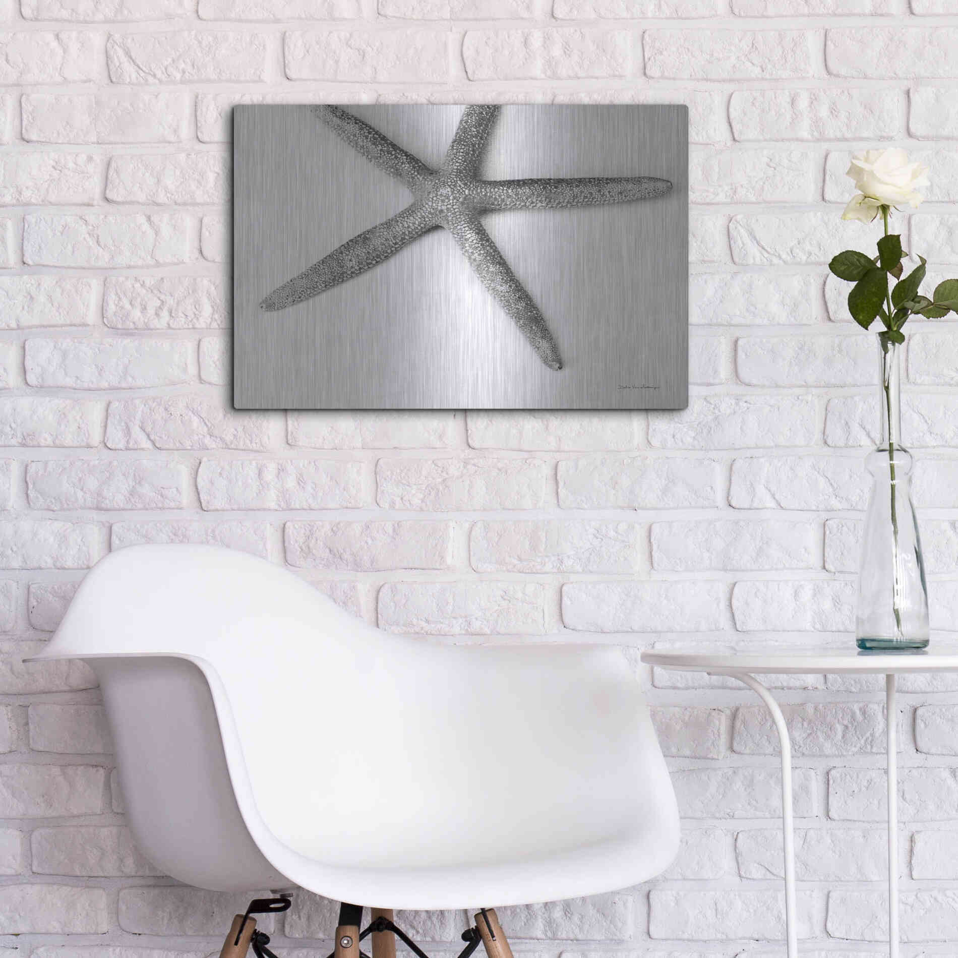 Luxe Metal Art 'Starfish Detail' by Debra Van Swearingen, Metal Wall Art,24x16