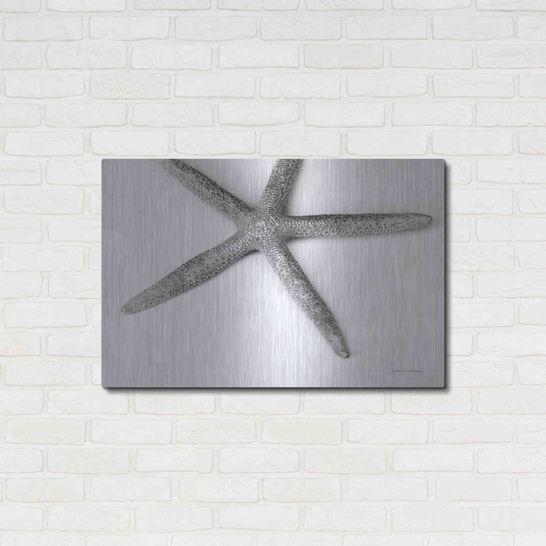 Luxe Metal Art 'Starfish Detail' by Debra Van Swearingen, Metal Wall Art,36x24