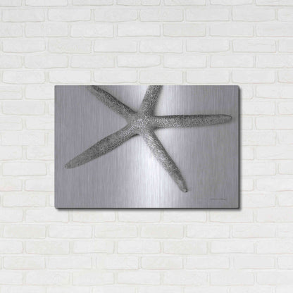 Luxe Metal Art 'Starfish Detail' by Debra Van Swearingen, Metal Wall Art,36x24