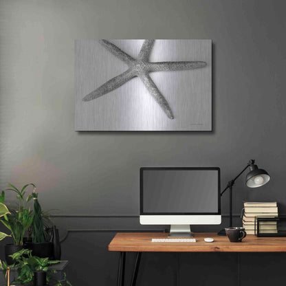 Luxe Metal Art 'Starfish Detail' by Debra Van Swearingen, Metal Wall Art,36x24