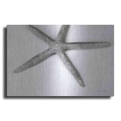 Luxe Metal Art 'Starfish Detail' by Debra Van Swearingen, Metal Wall Art