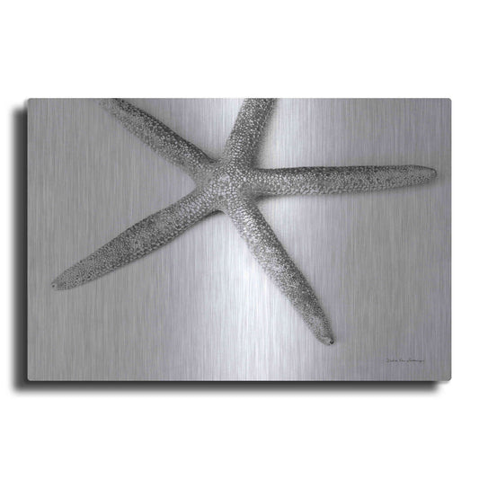 Luxe Metal Art 'Starfish Detail' by Debra Van Swearingen, Metal Wall Art