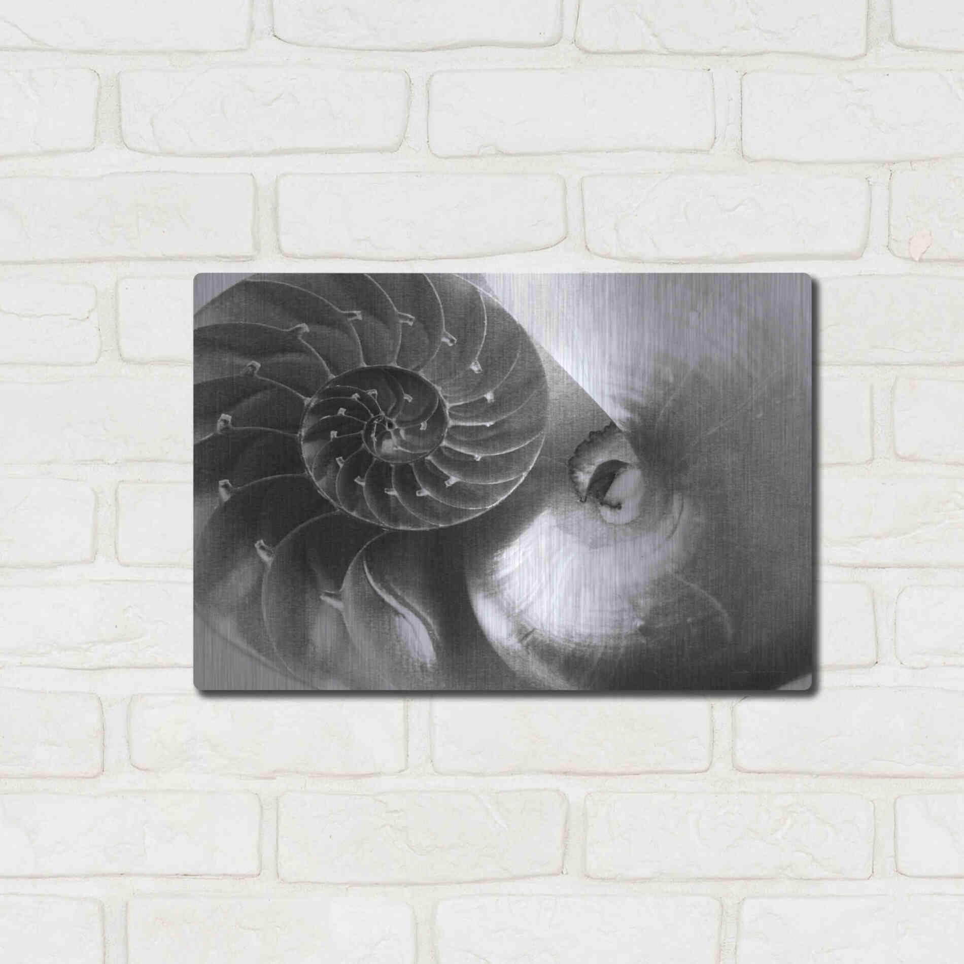 Luxe Metal Art 'Nautilus Yin Yang' by Debra Van Swearingen, Metal Wall Art,16x12