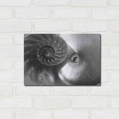 Luxe Metal Art 'Nautilus Yin Yang' by Debra Van Swearingen, Metal Wall Art,16x12