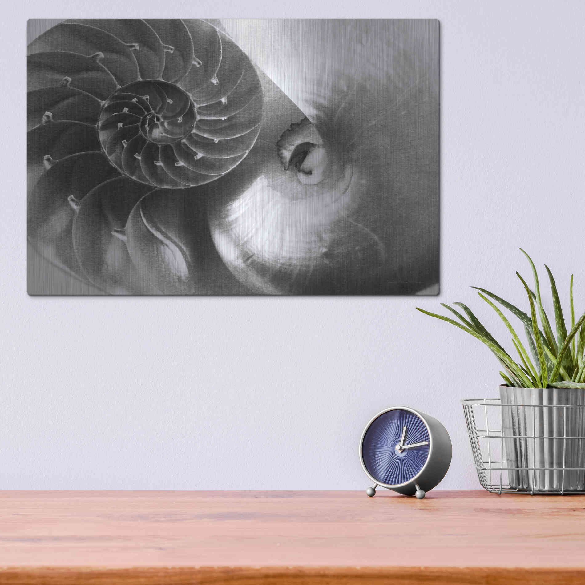Luxe Metal Art 'Nautilus Yin Yang' by Debra Van Swearingen, Metal Wall Art,16x12