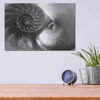 Luxe Metal Art 'Nautilus Yin Yang' by Debra Van Swearingen, Metal Wall Art,16x12