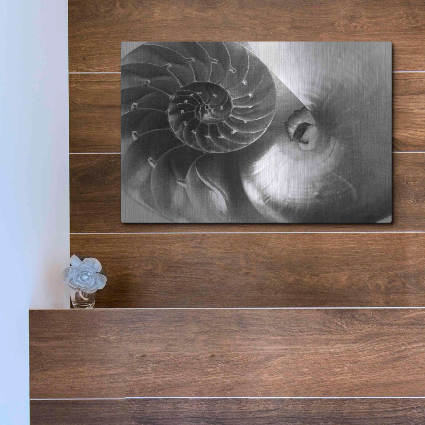 Luxe Metal Art 'Nautilus Yin Yang' by Debra Van Swearingen, Metal Wall Art,16x12