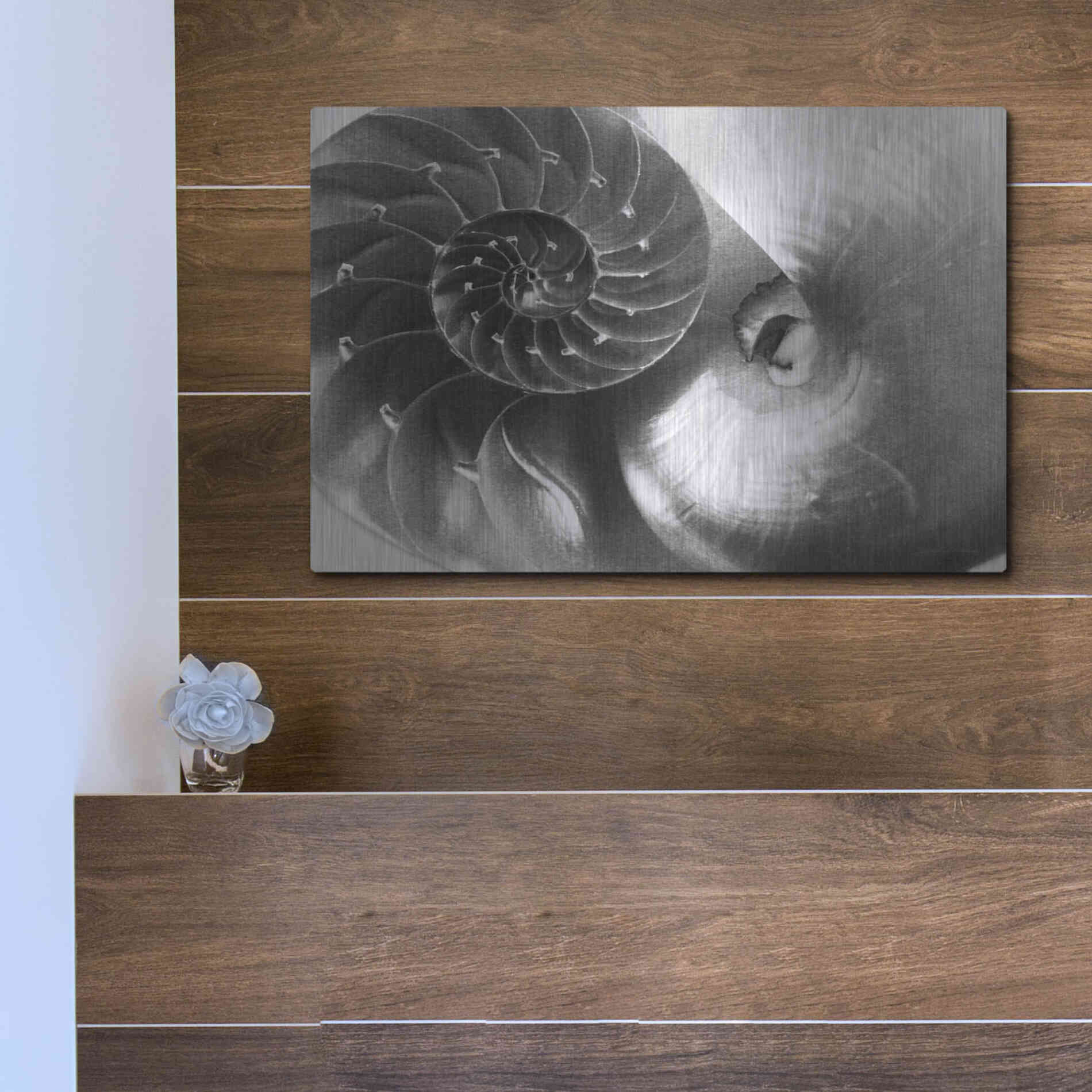 Luxe Metal Art 'Nautilus Yin Yang' by Debra Van Swearingen, Metal Wall Art,16x12