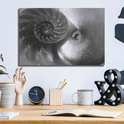 Luxe Metal Art 'Nautilus Yin Yang' by Debra Van Swearingen, Metal Wall Art,16x12