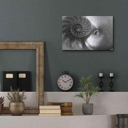 Luxe Metal Art 'Nautilus Yin Yang' by Debra Van Swearingen, Metal Wall Art,16x12
