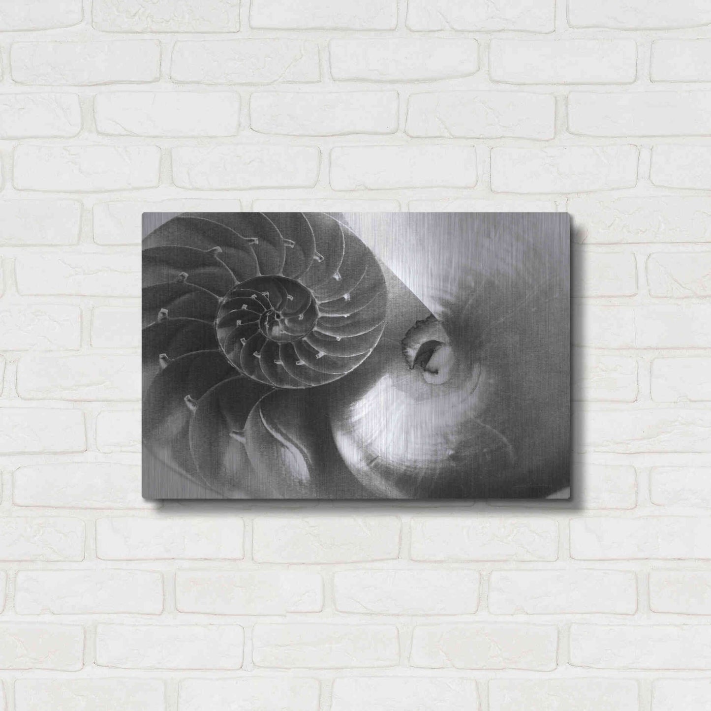 Luxe Metal Art 'Nautilus Yin Yang' by Debra Van Swearingen, Metal Wall Art,24x16