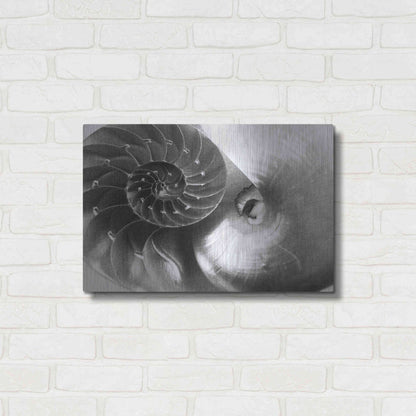 Luxe Metal Art 'Nautilus Yin Yang' by Debra Van Swearingen, Metal Wall Art,24x16