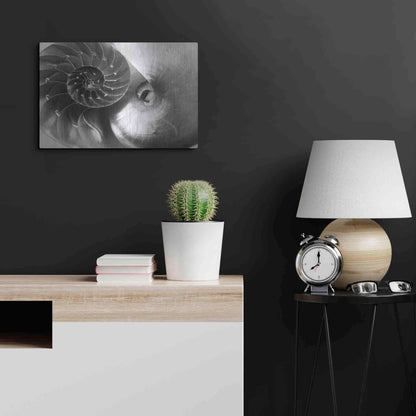 Luxe Metal Art 'Nautilus Yin Yang' by Debra Van Swearingen, Metal Wall Art,24x16