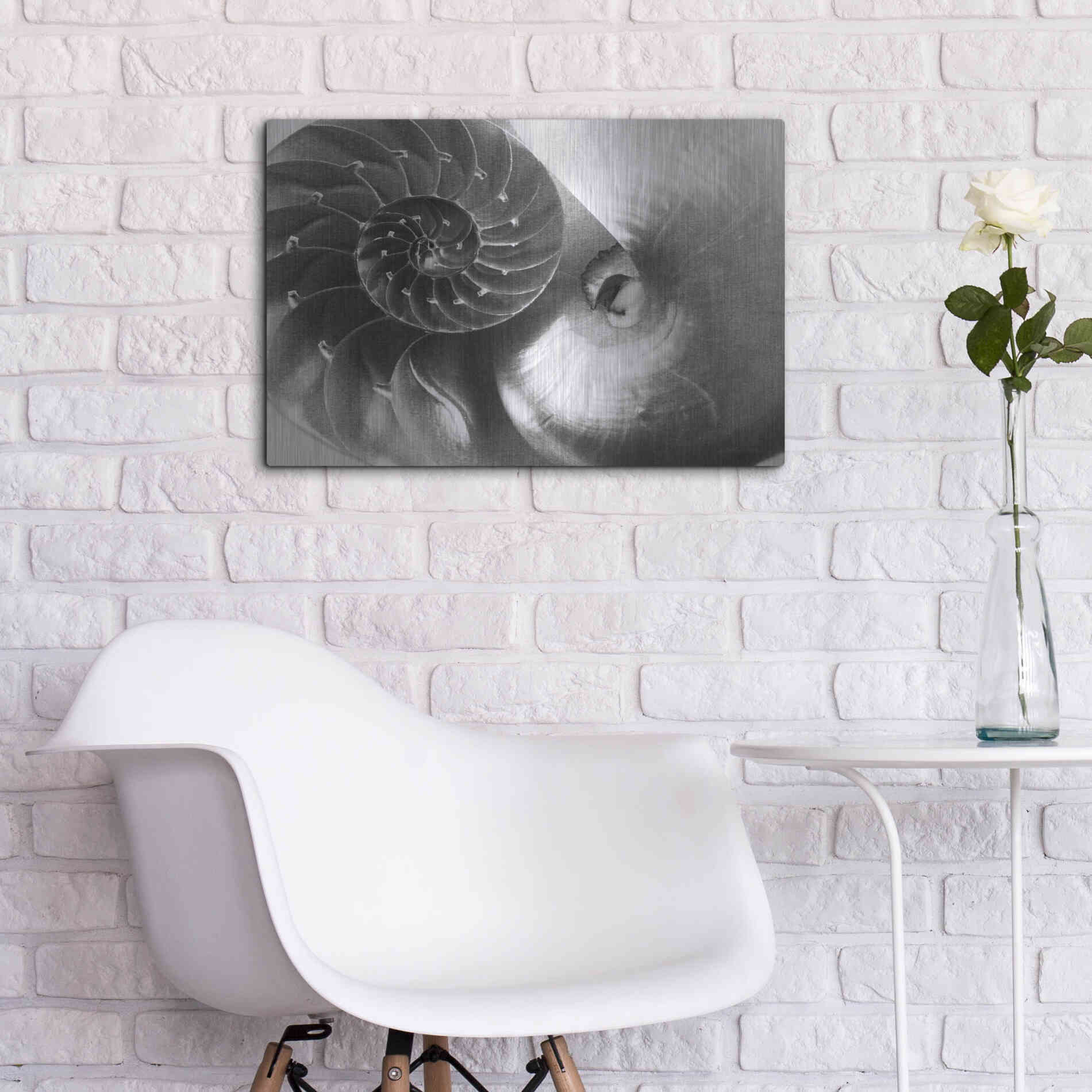 Luxe Metal Art 'Nautilus Yin Yang' by Debra Van Swearingen, Metal Wall Art,24x16