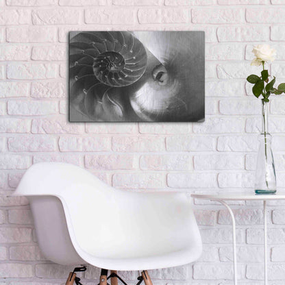 Luxe Metal Art 'Nautilus Yin Yang' by Debra Van Swearingen, Metal Wall Art,24x16