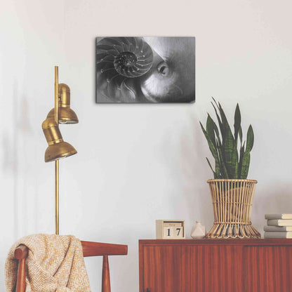Luxe Metal Art 'Nautilus Yin Yang' by Debra Van Swearingen, Metal Wall Art,24x16