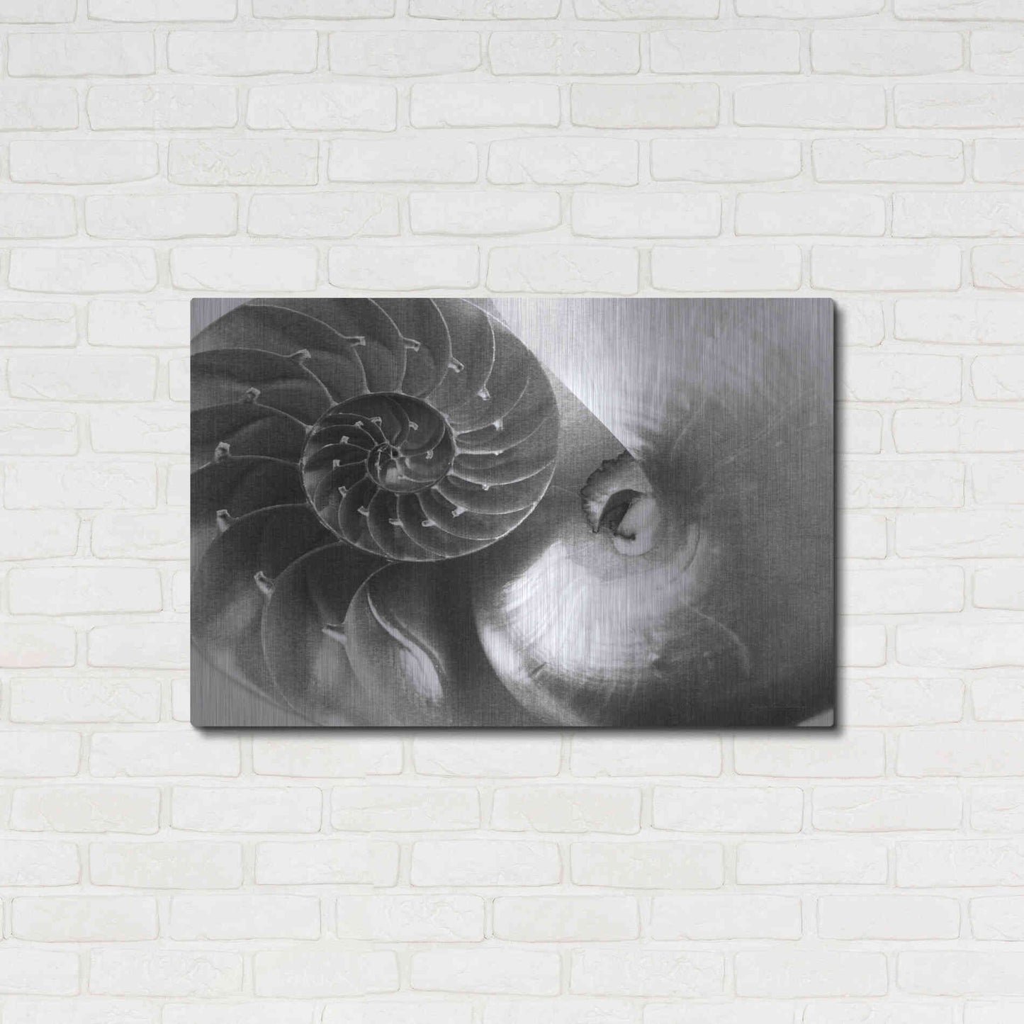Luxe Metal Art 'Nautilus Yin Yang' by Debra Van Swearingen, Metal Wall Art,36x24