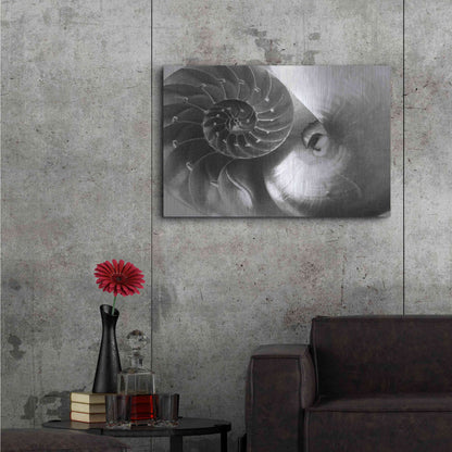 Luxe Metal Art 'Nautilus Yin Yang' by Debra Van Swearingen, Metal Wall Art,36x24