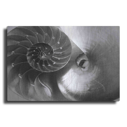 Luxe Metal Art 'Nautilus Yin Yang' by Debra Van Swearingen, Metal Wall Art
