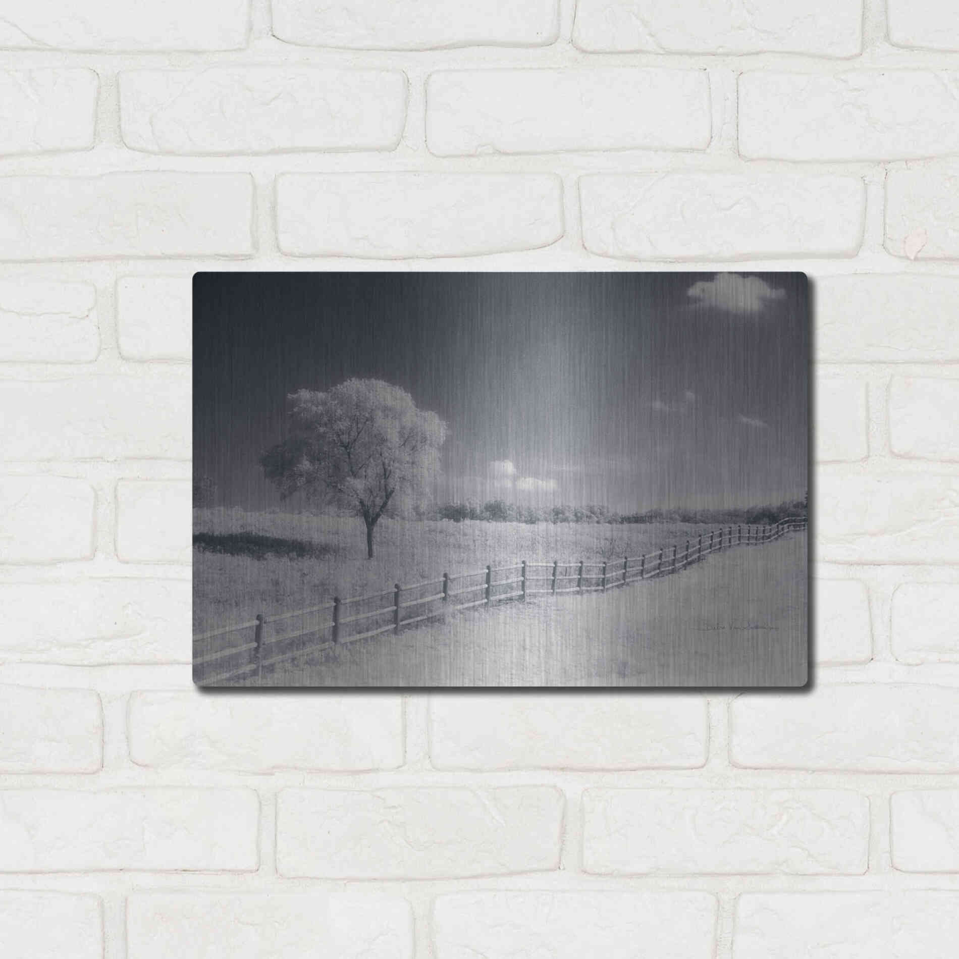 Luxe Metal Art 'Trees Fence I' by Debra Van Swearingen, Metal Wall Art,16x12