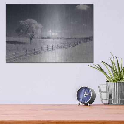 Luxe Metal Art 'Trees Fence I' by Debra Van Swearingen, Metal Wall Art,16x12