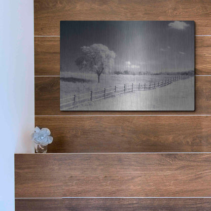 Luxe Metal Art 'Trees Fence I' by Debra Van Swearingen, Metal Wall Art,16x12