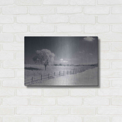 Luxe Metal Art 'Trees Fence I' by Debra Van Swearingen, Metal Wall Art,24x16