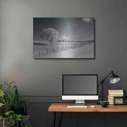 Luxe Metal Art 'Trees Fence I' by Debra Van Swearingen, Metal Wall Art,36x24
