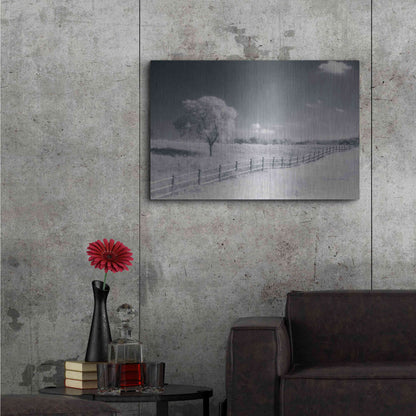 Luxe Metal Art 'Trees Fence I' by Debra Van Swearingen, Metal Wall Art,36x24