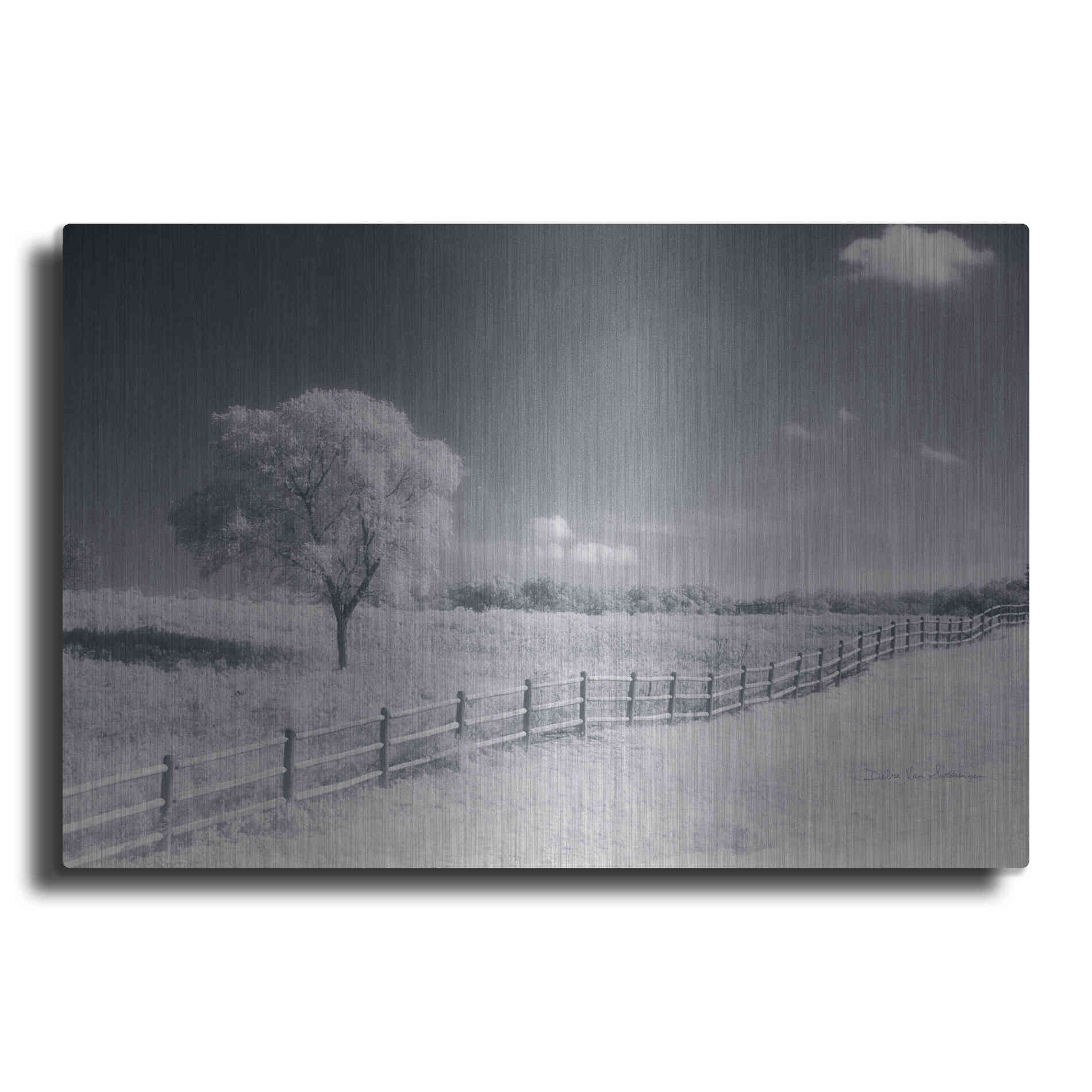 Luxe Metal Art 'Trees Fence I' by Debra Van Swearingen, Metal Wall Art