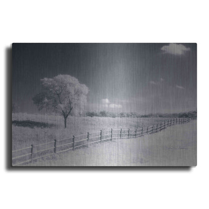 Luxe Metal Art 'Trees Fence I' by Debra Van Swearingen, Metal Wall Art